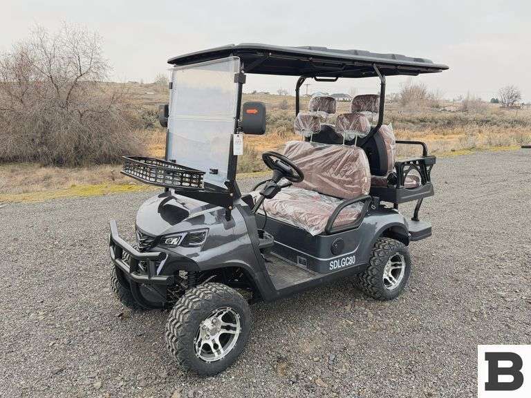 2025 SDLANCH SDLG80 Golf Cart