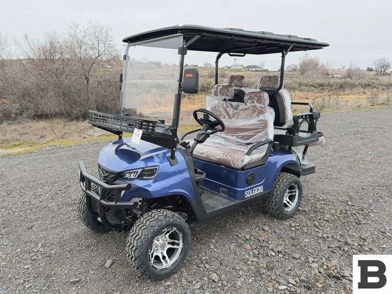 2025 SDLANCH SDLG80 Golf Cart