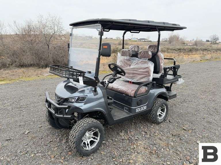 2025 SDLANCH SDLG80 Cart