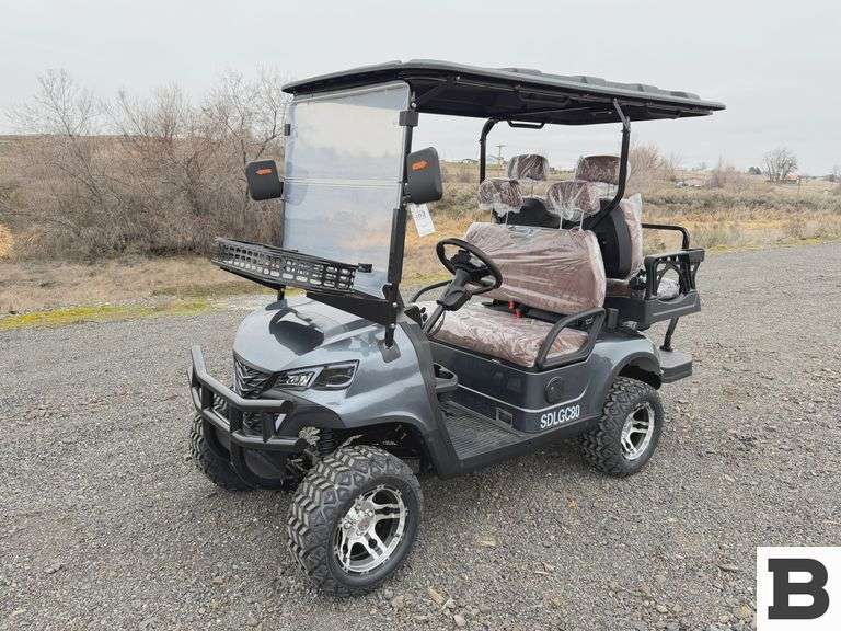 2025 SDLANCH SDLG80 Golf Cart