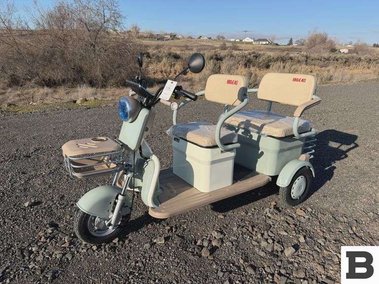 2025 IR IRGC40 Mini Golf Cart