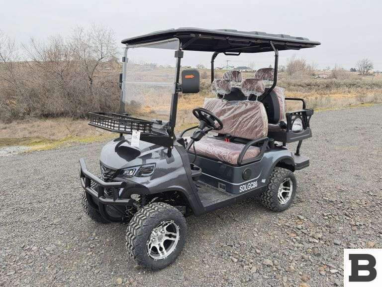 2025 SDLANCH SDLG80 Golf Cart