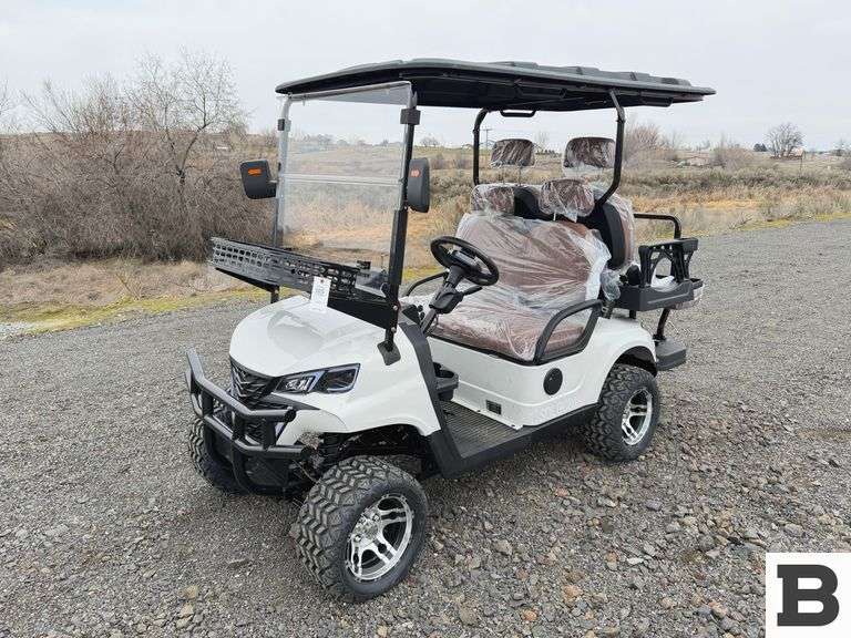 2025 SDLANCH SDLG80 Golf Cart