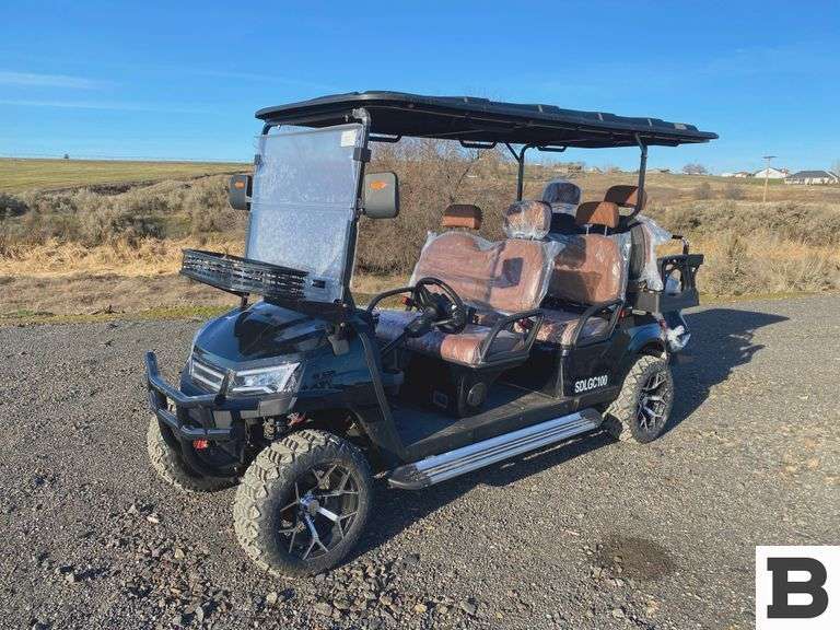 2025 SDLANCH SDLGC100 Electric Golf Cart