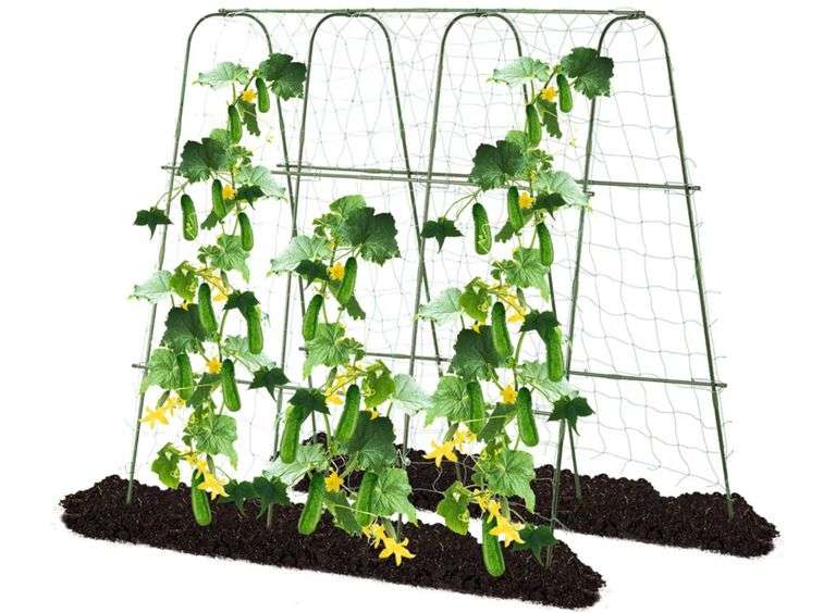 Lalahoni Cucumber Trellis, 6’ Metal Garden Trellis