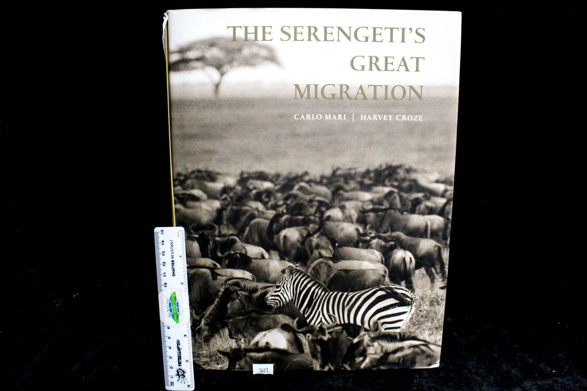 the serengeti's great migration 洋書 The Serengeti's Great Migration