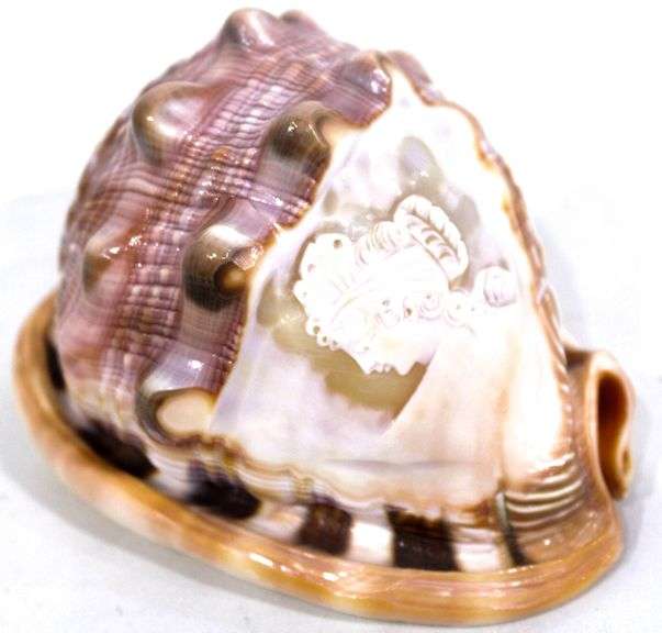 Vintage Italian Hand Carved Woman's Face Cameo on a Conch Shell