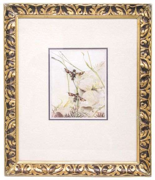 Arts and crafts Print C. 1900 of moth Butterflies 16” x 14” in a hand carved Gilded wood frame