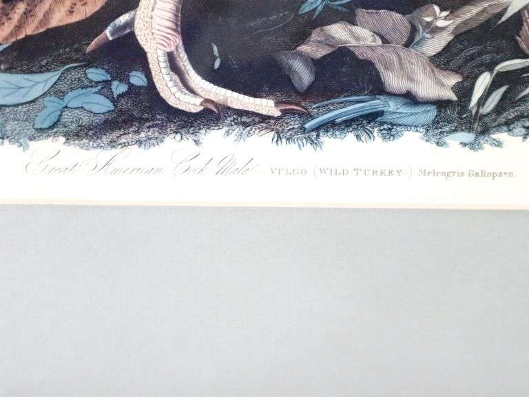 John James Audubon "Turkey" vintage print, framed  30" x 26"
