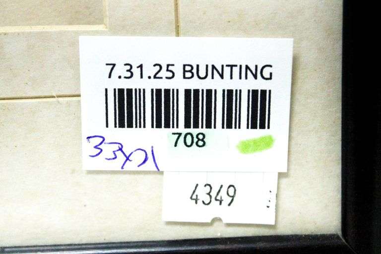 "Landscape" print, framed 33"  x 21"