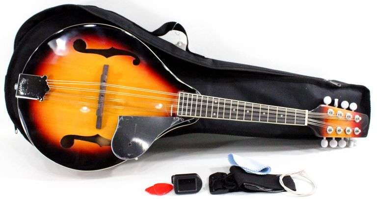 Acoustic Mandolin with Case and Accessories