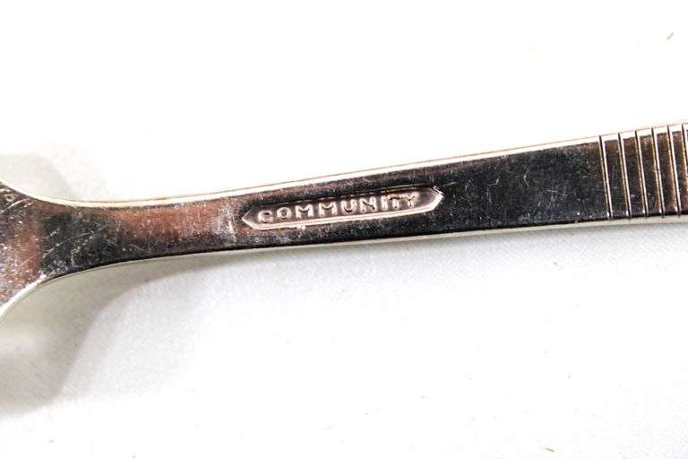 Community (by Oneida) Silverplate Flatware with Storage Chest