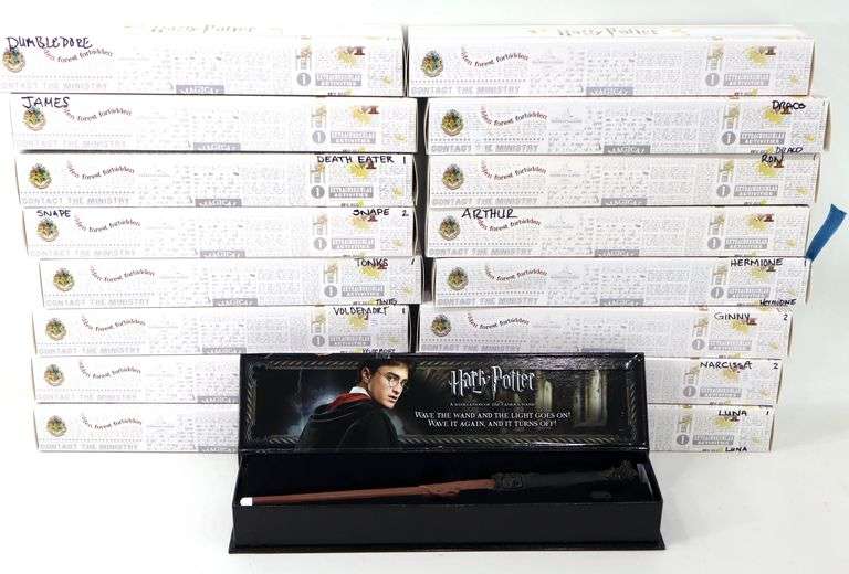 Harry Potter Wands with Boxes