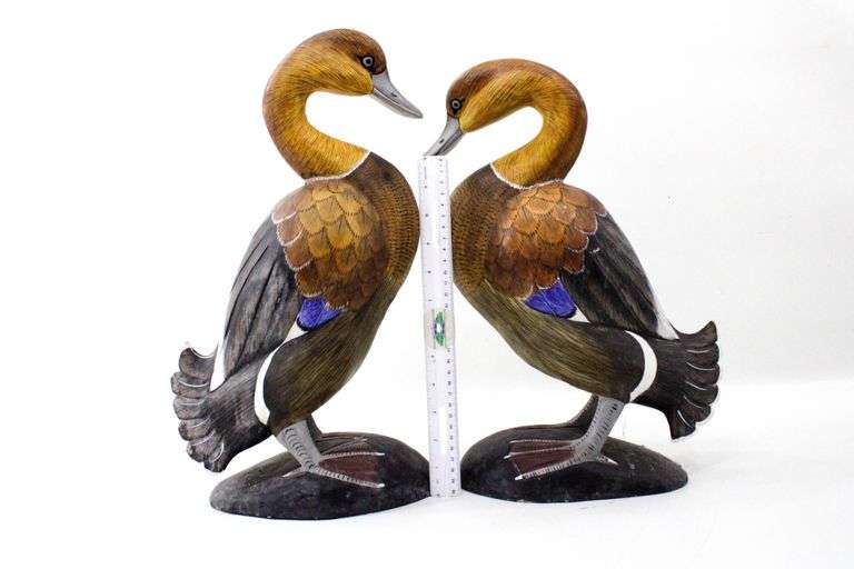 Ruddy Shelduck / Brahminy Duck - Pair - 17" each