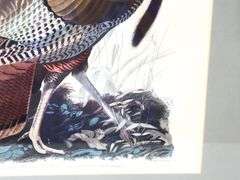 John James Audubon "Turkey" vintage print, framed  30" x 26"