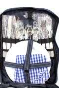 Picnic at Ascot Backpack Picnic Cooler, Bottle Pocket, and Plates & Stainless Utensils - Consignor contributes is "New / Never Used"