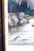 "Salmon Fishing" vintage Currier & Ives print, framed 14" x 16"
