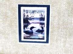 "Boundary Waters" Limited Edition Print by Leo Stans 1990, Centerpiece for 1990 National Parks Series $8.00 Stamp, and Earth Day 1990 Coins - Gallery Style Display - 25 x 21