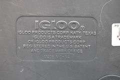 Igloo Cooler