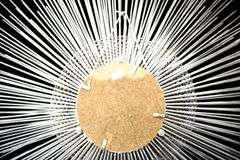 Sculptural Frame after "Astral Invert" by Palden Weinreb Wall Mirror - 36" Dia.
