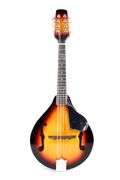 Acoustic Mandolin with Case and Accessories
