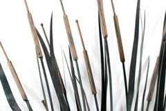 Metal Art "Cattails" - Sculptural Wall Art