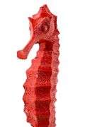 Red Seahorse on Stand.  18"