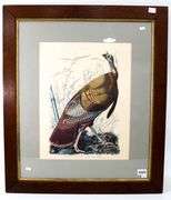 John James Audubon "Turkey" vintage print, framed  30" x 26"