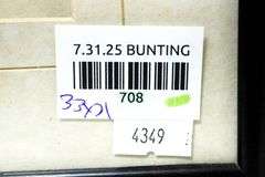 "Landscape" print, framed 33"  x 21"