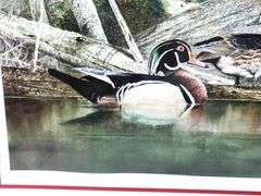 Alex Young "Wood Ducks" signed limited edition print 133/ 375, framed 23" x 28"