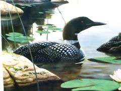 "Boundary Waters" Limited Edition Print by Leo Stans 1990, Centerpiece for 1990 National Parks Series $8.00 Stamp, and Earth Day 1990 Coins - Gallery Style Display - 25 x 21