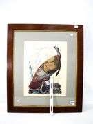 John James Audubon "Turkey" vintage print, framed  30" x 26"