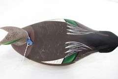 Charles Bryan (Middle River, Maryland, 1920-2008) - Signed and Dated "94"  - Hand Carved Widgeon Duck Decoy