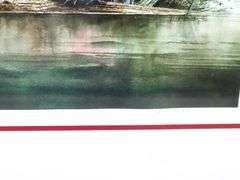 Alex Young "Wood Ducks" signed limited edition print 133/ 375, framed 23" x 28"