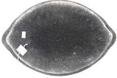Vintage Silverplate (Believed to be) Repousse Frame Oval Vanity Mirror - 16"