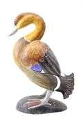Ruddy Shelduck / Brahminy Duck - Pair - 17" each