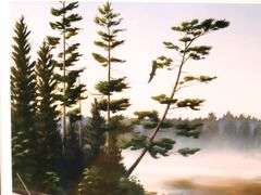 "Boundary Waters" Limited Edition Print by Leo Stans 1990, Centerpiece for 1990 National Parks Series $8.00 Stamp, and Earth Day 1990 Coins - Gallery Style Display - 25 x 21