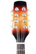 Acoustic Mandolin with Case and Accessories