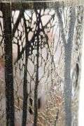 Silver Forest Lamp with Rock Salt Filler Accent Light / Night Light - 7 x 4