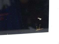 American Bald Eagle photograph, framed 25". 20"