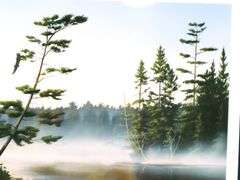 "Boundary Waters" Limited Edition Print by Leo Stans 1990, Centerpiece for 1990 National Parks Series $8.00 Stamp, and Earth Day 1990 Coins - Gallery Style Display - 25 x 21