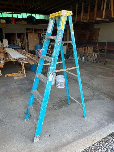 Werner 6 Foot Fiberglass Ladder