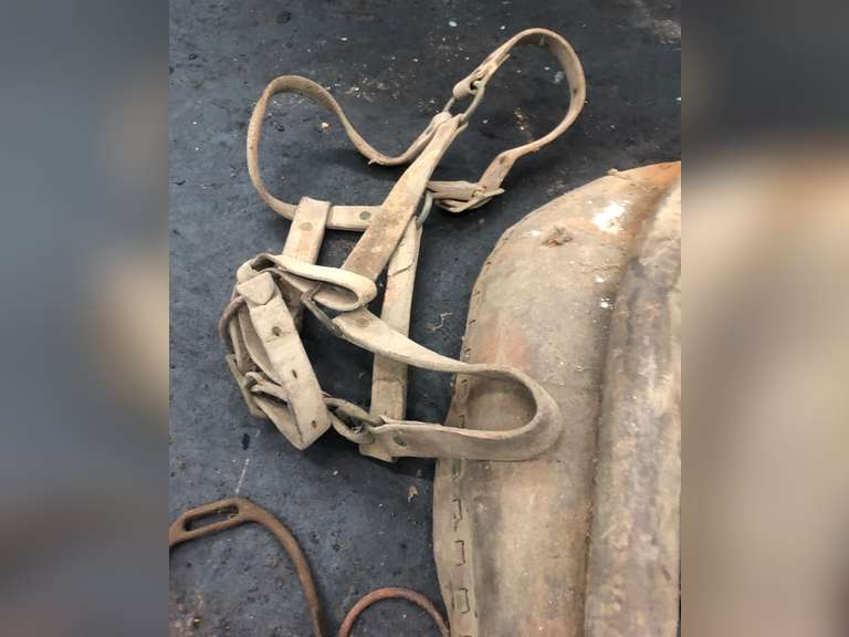 HORSE COLLAR, HALTER, SCOOP, BELL