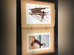 ASSORTED BOOKS AND PICTURE FRAMES
