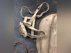 HORSE COLLAR, HALTER, SCOOP, BELL