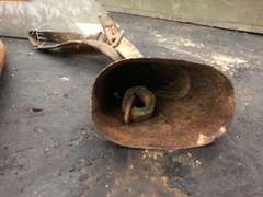 HORSE COLLAR, HALTER, SCOOP, BELL