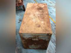 TRUNK