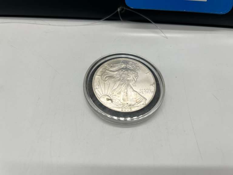 2006 Walking Liberty Silver Dollar