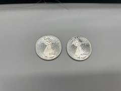 Lot of 2 St. Gaudens 1 oz. Silver Bullion Rounds