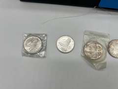 Lot of 6 Sunshine Minting Silver Bullion Coins